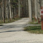 pine-ridge-3