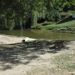oai-rifle-river-3