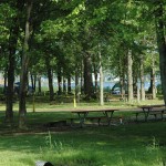 oneida-shores-park-2