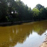 Shiawassee River