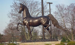Kentucky Horse Park Campground