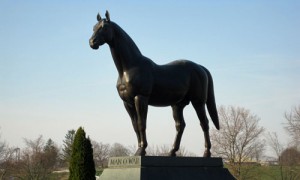 Kentucky Horse Park Campground