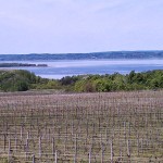 wine-country